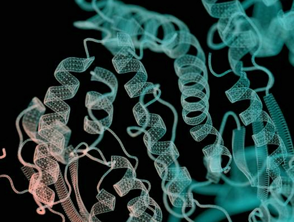 Protein Purification