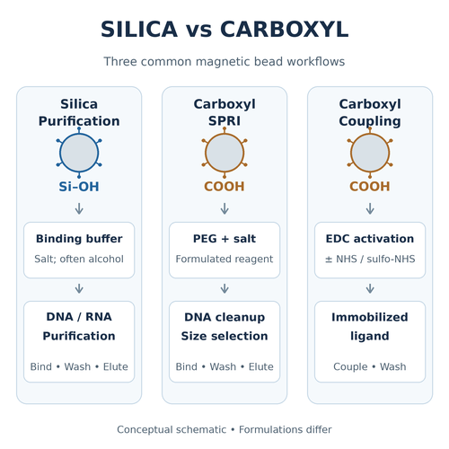 silica-vs-carboxyl-magnetic-beads.png