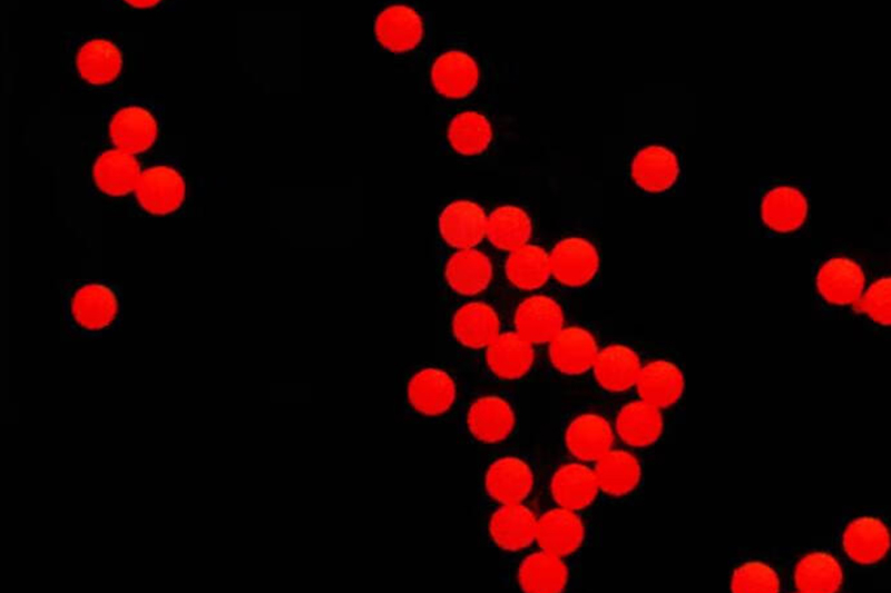 Red-Fluorescent-Microspheres-