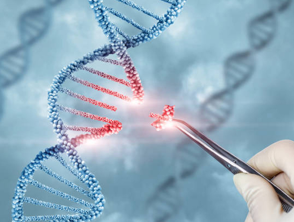 Genomic DNA Extraction