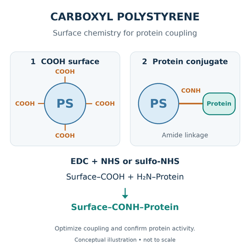 carboxyl-polystyrene-microsphere-protein-coupling-russia.png