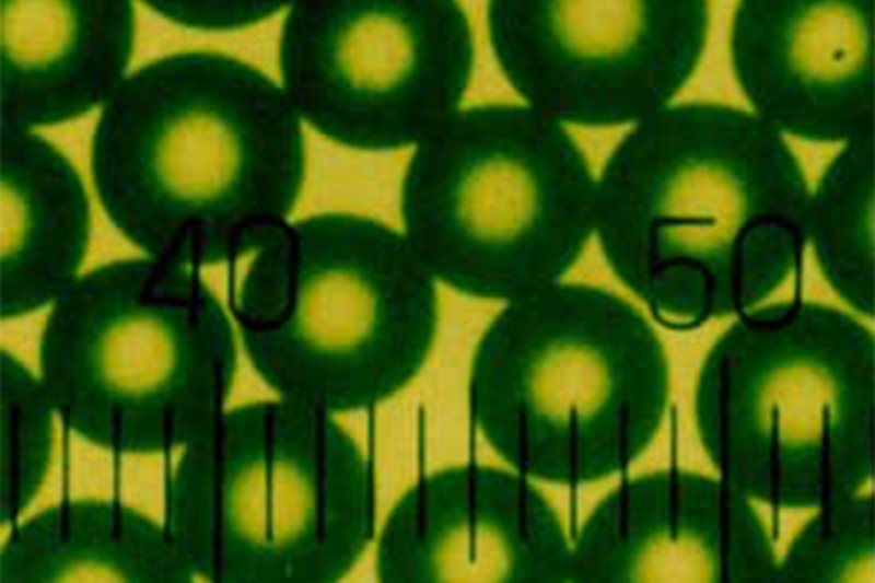 Flow-Cytometry-Fluorescent-Microspheres-Profiles