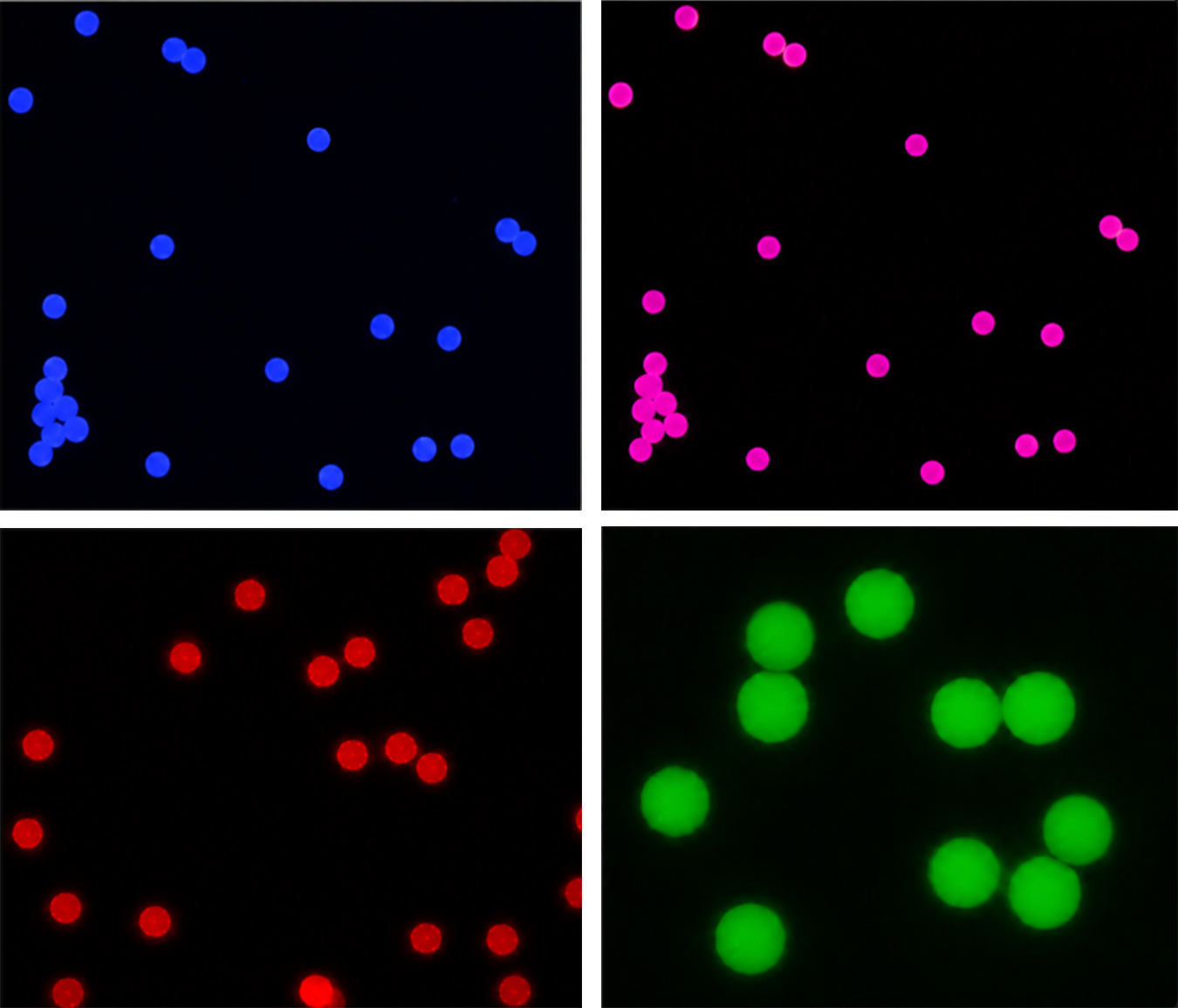 Microspheres for IVD & POCT