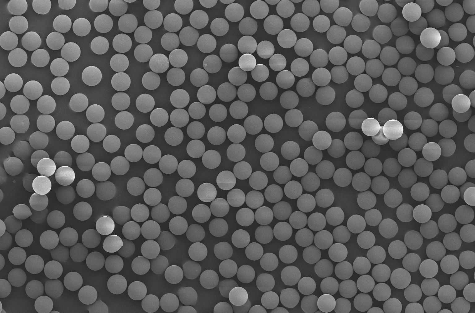 Epoxy Magnetic Beads