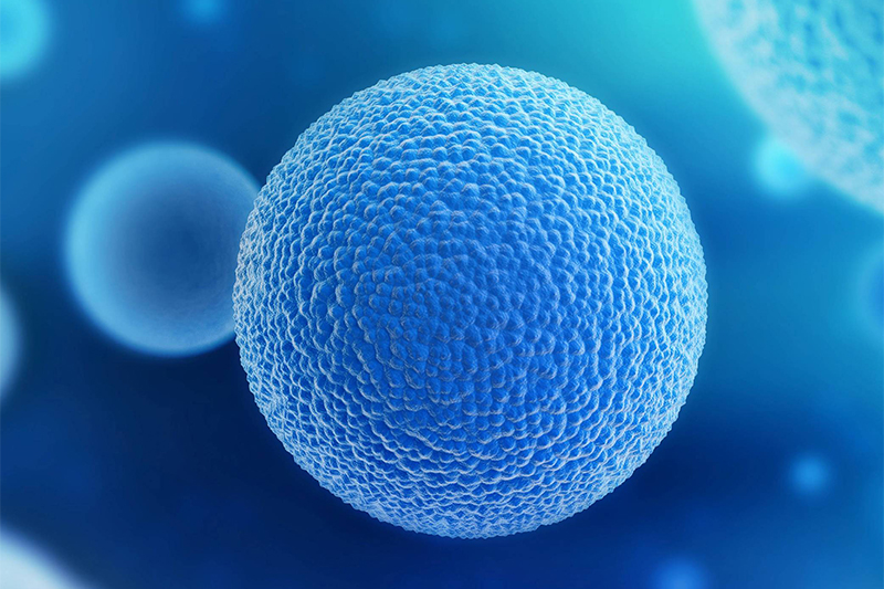 Blue-Fluorescent-Microspheres-
