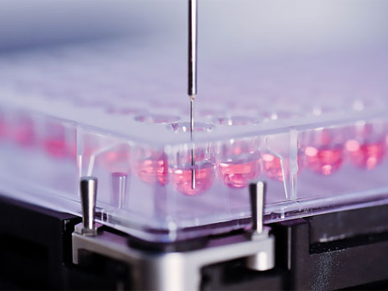 Multiplex-Bioassays