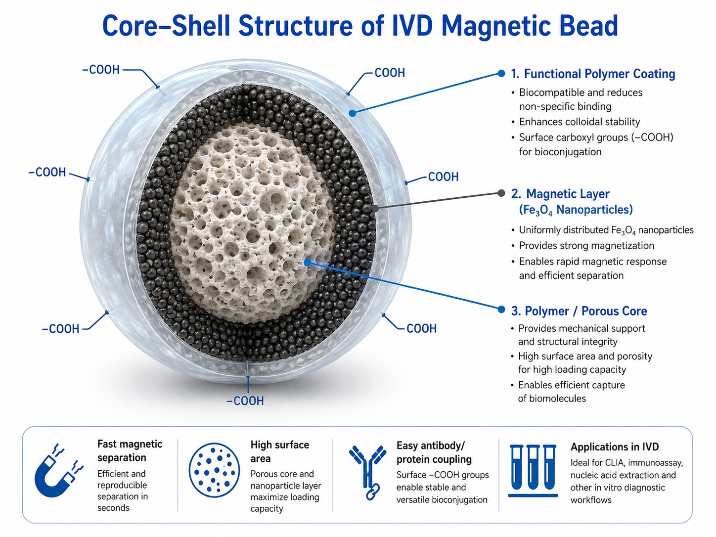 Figure1_core_shell_magnetic_bead_structure.png