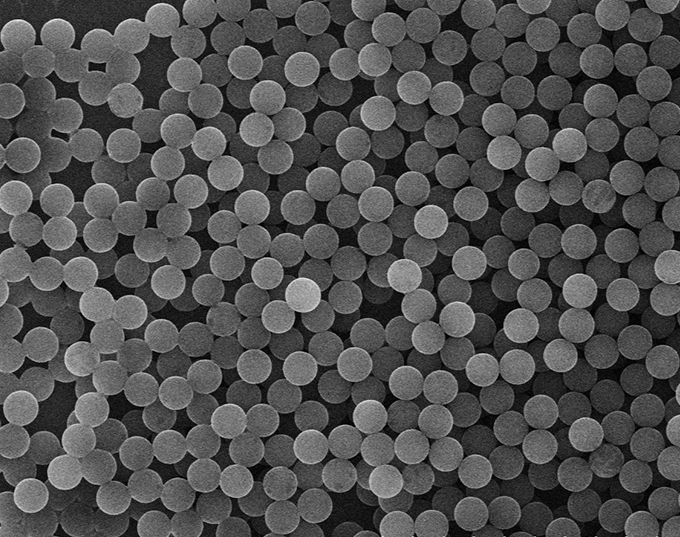 Carboxyl Magnetic Beads