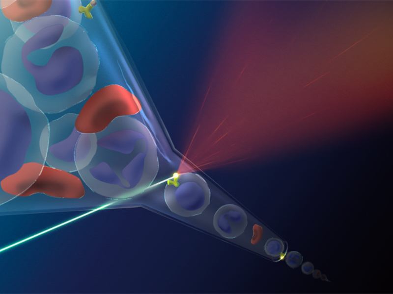 Flow-Cytometry
