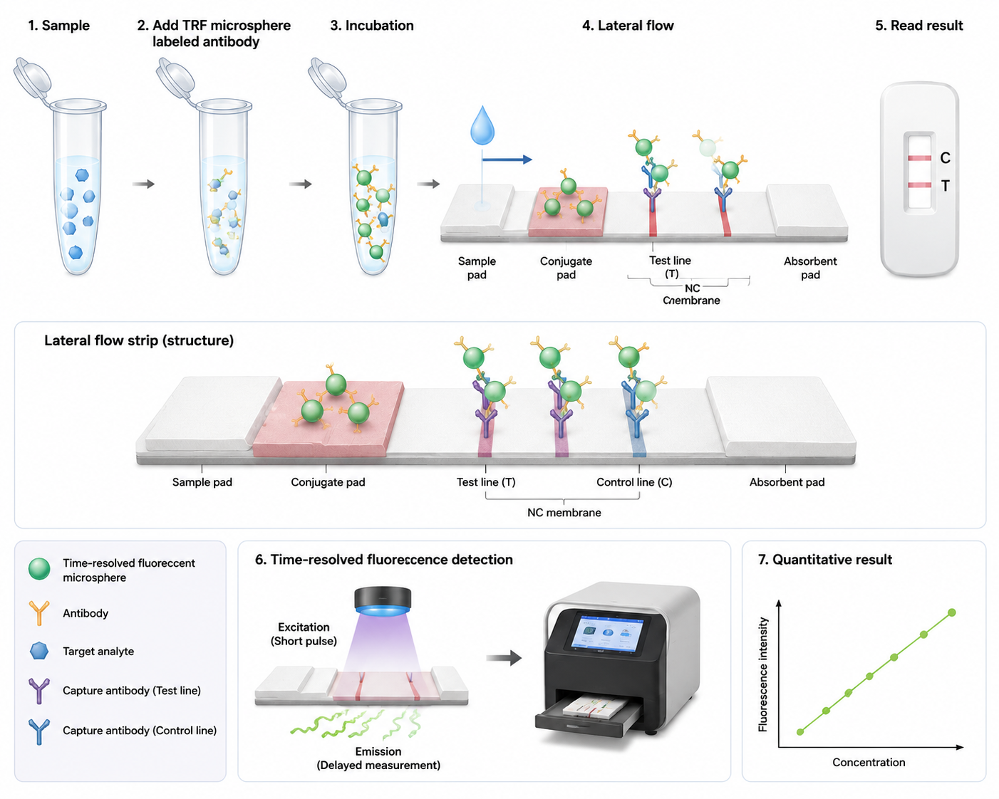 Time-resolved fluorescent microsphere lateral flow immunoassay.png