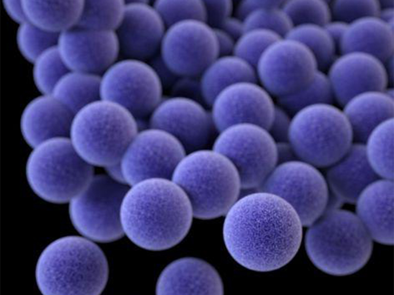 Why-Choose-Our-Fluorescent-Microspheres
