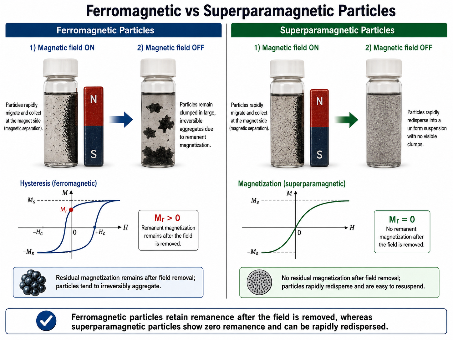 Figure2_superparamagnetic_separation_redispersion.png