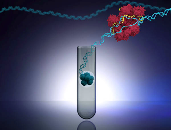 Nucleic Acid Capture
