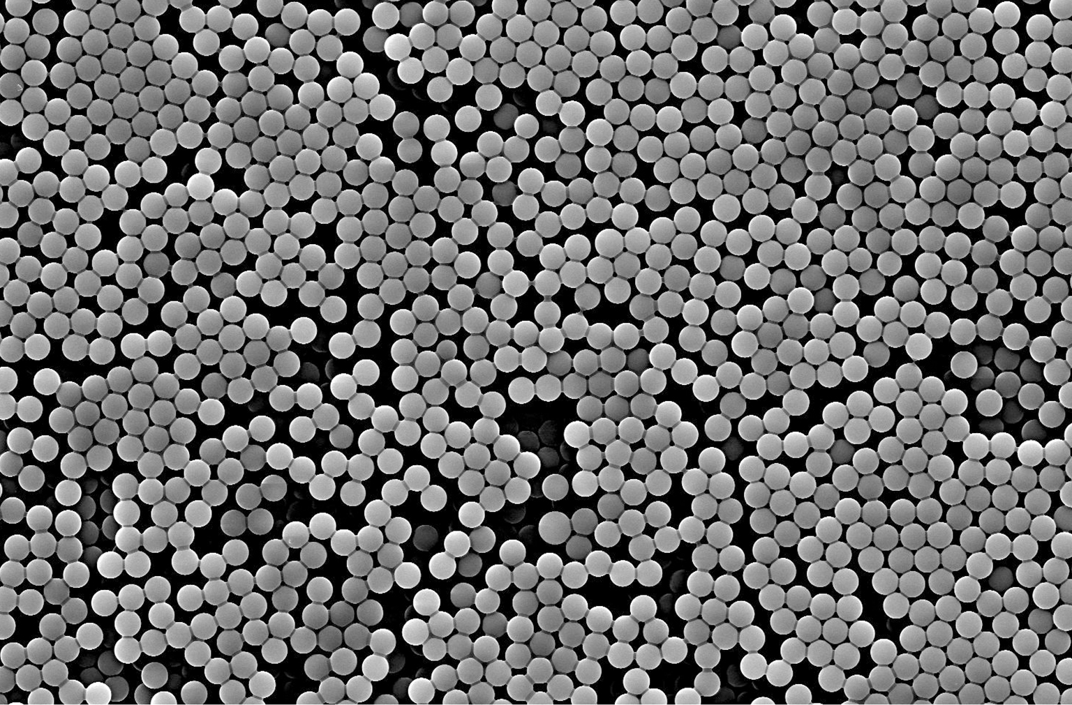Tosyl Magnetic Beads