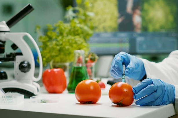 Food Safety Testing