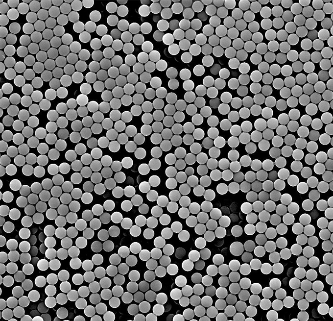 Carboxyl Magnetic Beads