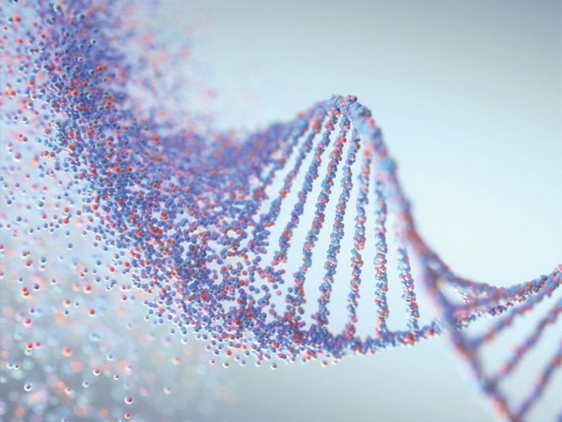 Molecular-Diagnostics