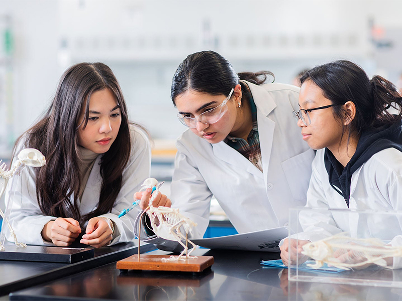 Biotechnology-Research