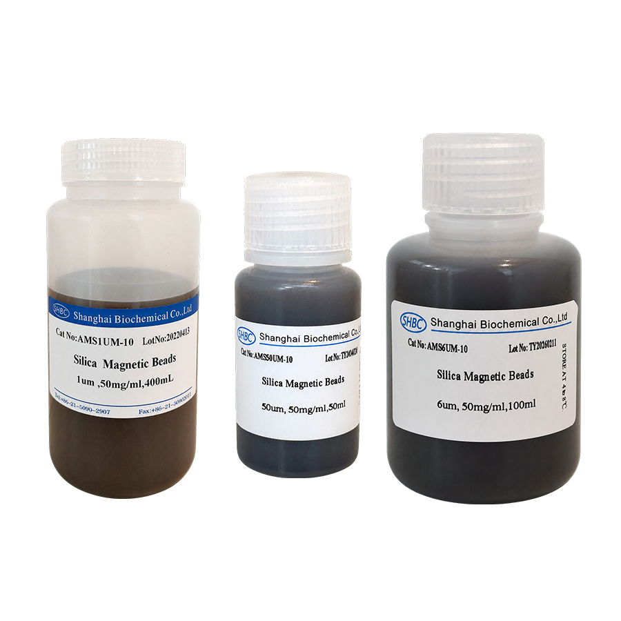 silica magnetic beads for nucleic acid purification.jpg