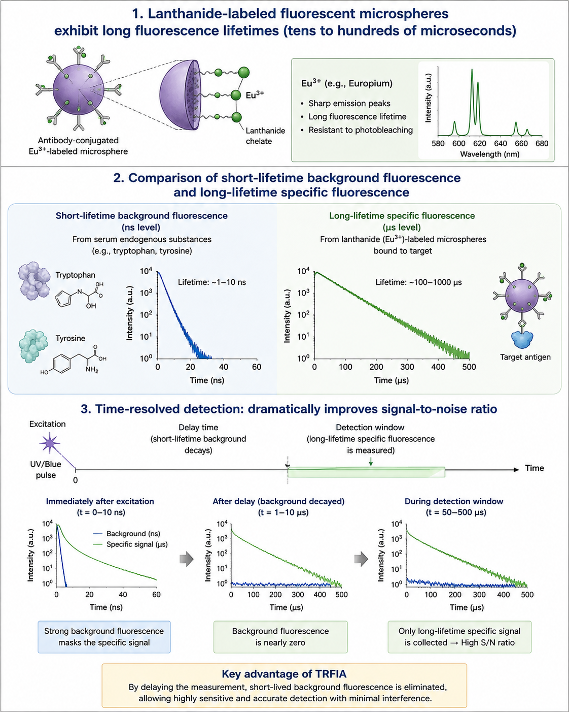 Principle of time-resolved fluorescent microsphere detection-3.png