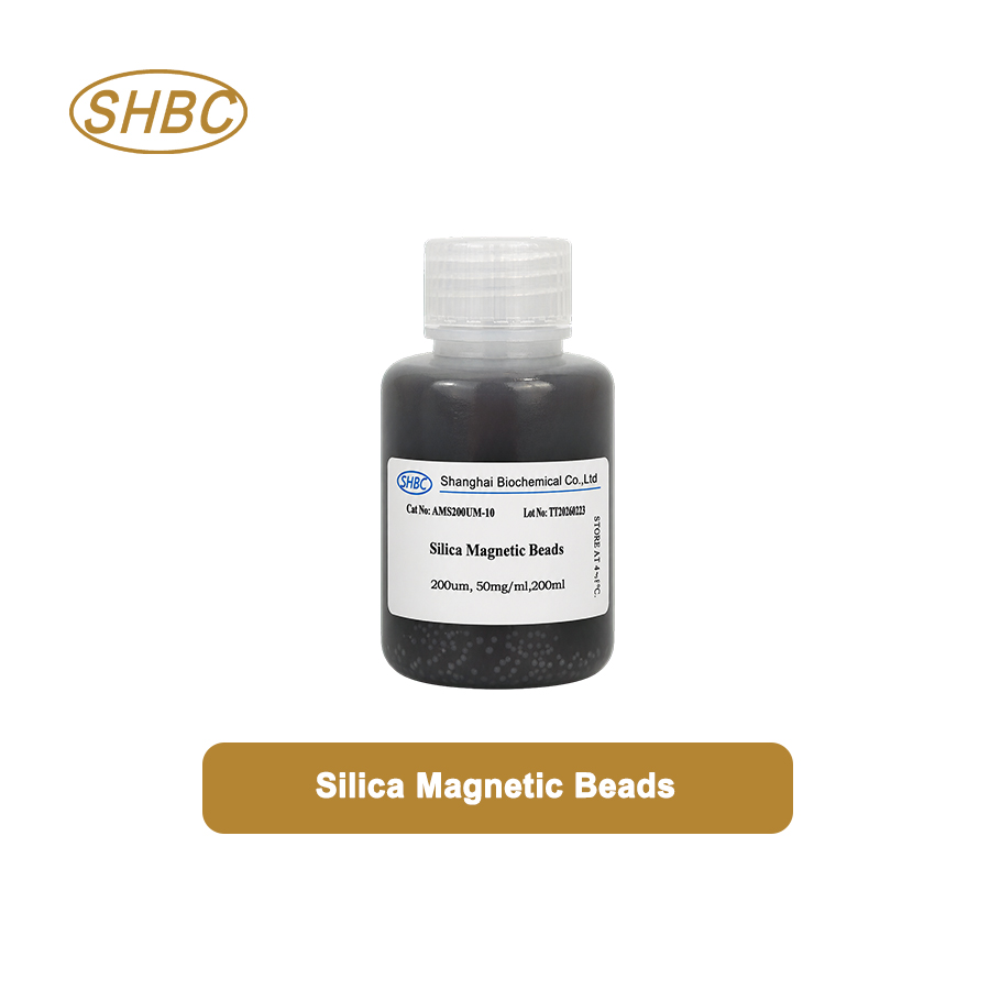 AMS20UM-10 20μm Magnetic Silica Microspheres 5% Suspension