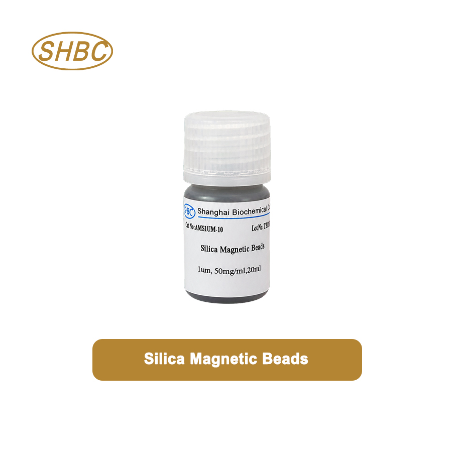 Top 10 Silica Magnetic Bead Manufacturers Serving Russia in 2026