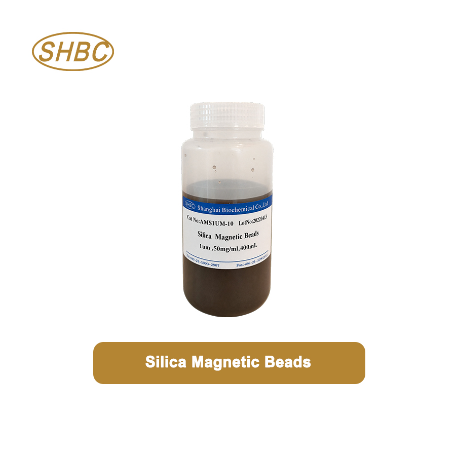 AMS1UM-10 1μm Silica Magnetic Beads for DNA RNA Extraction and Biomolecule Purification