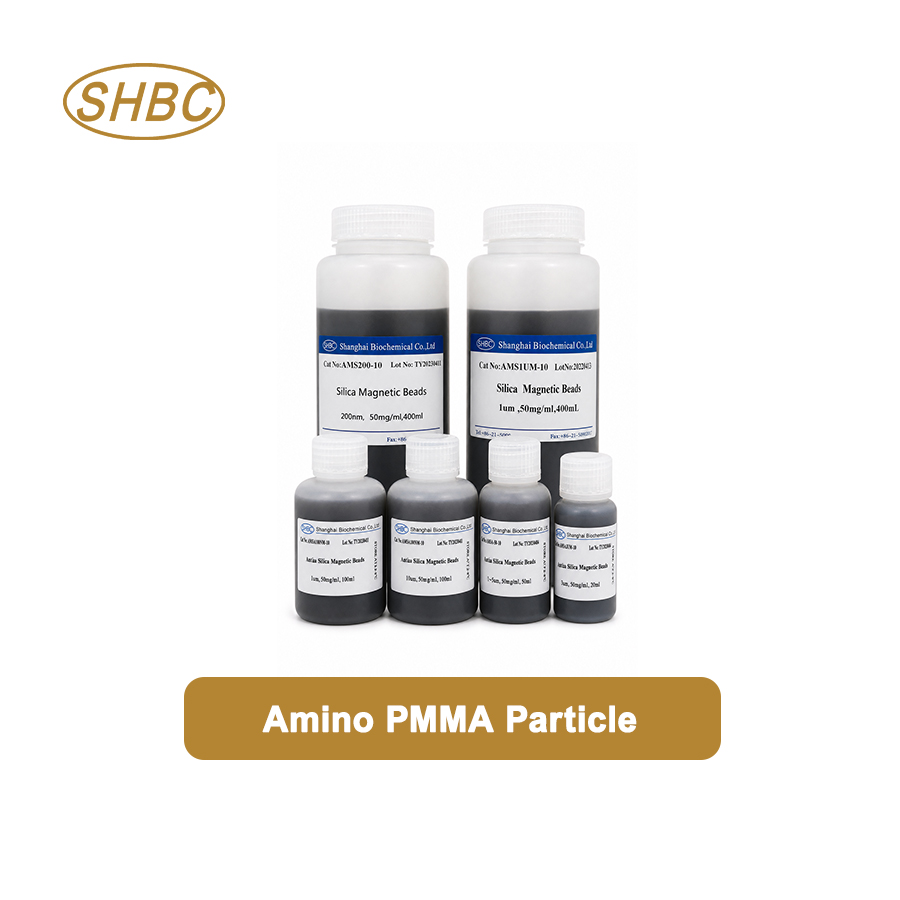 PMN800UM 800 μm Amino PMMA Particles 10%