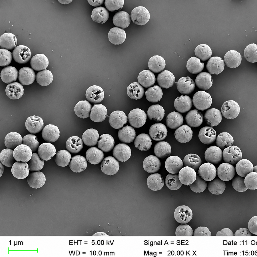 92 nm Carboxyl Polystyrene Microspheres, 10% Solids – CP092-10