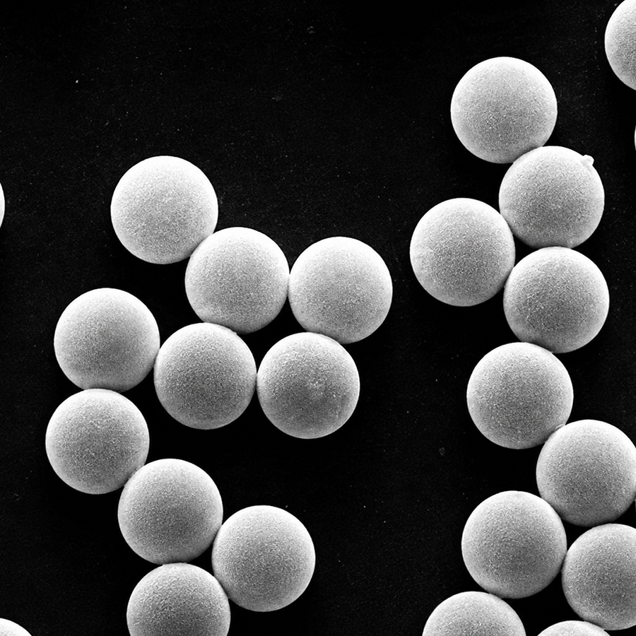 50&micro;m Carboxyl Magnetic Beads 