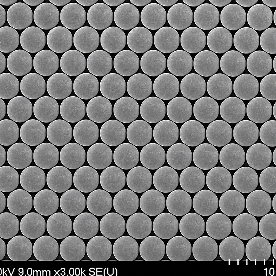 10um Streptavidin Microspheres SAPS10UM-10 1%