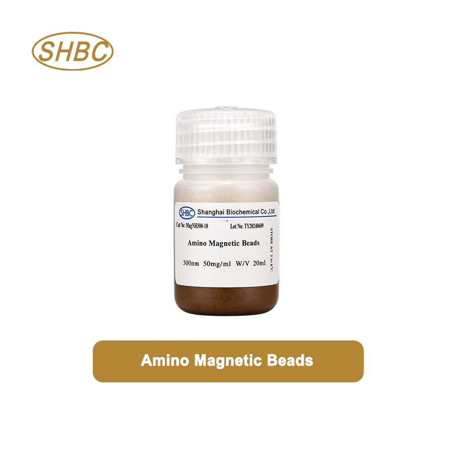 50um Amino Magnetic Beads MNH50UM-10