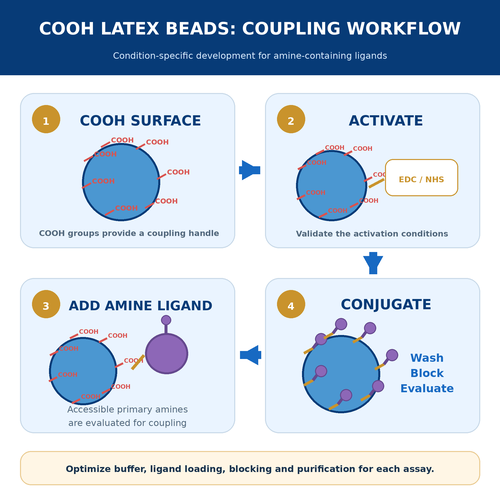 carboxylate-modified-polystyrene-latex-beads-edc-nhs-coupling.png.png