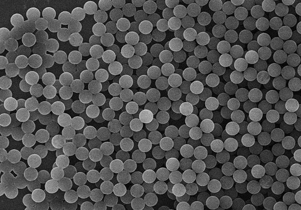 Magnetic Beads