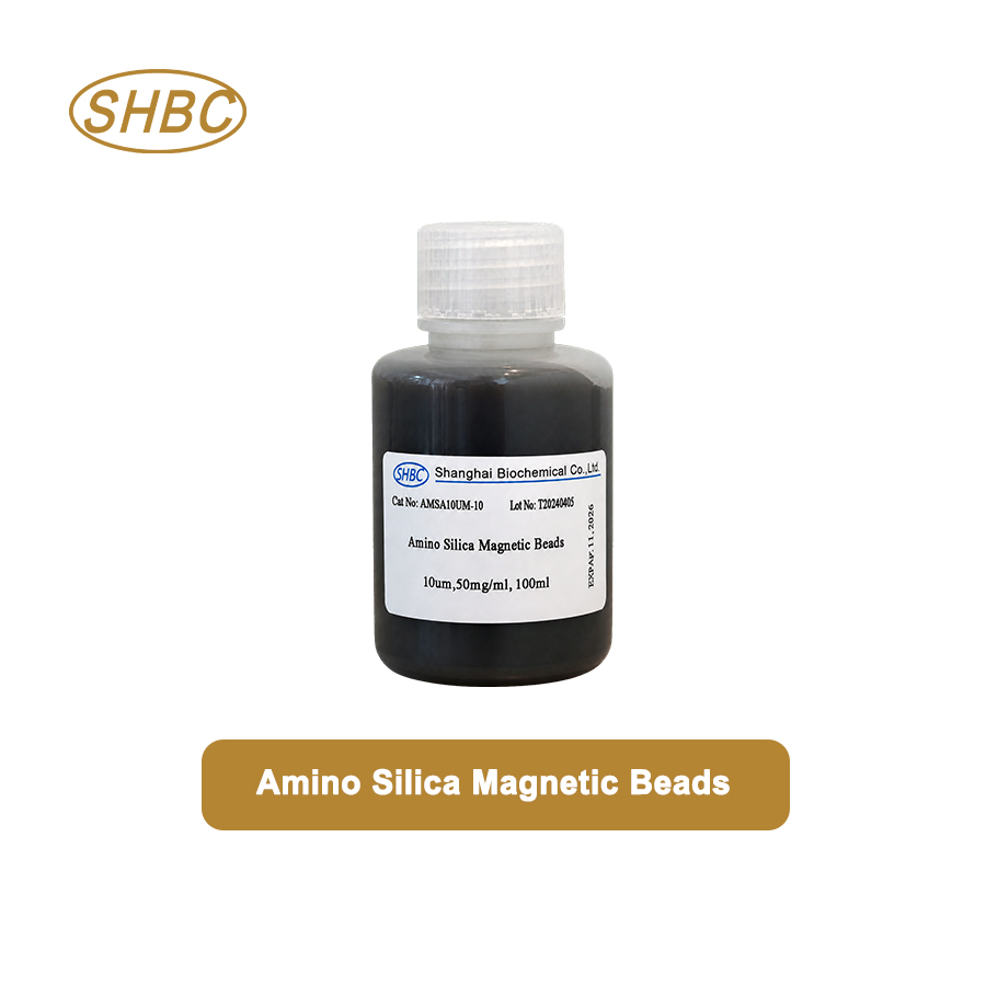 AMSA10UM-10 10μm Amino Magnetic Silica Beads 5% Suspension
