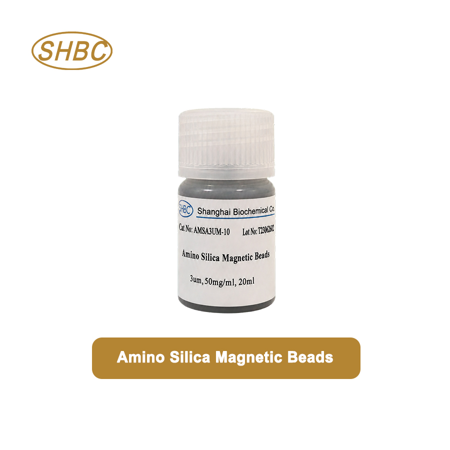 AMSA3UM-10 3μm Amino Magnetic Silica Beads 5% Suspension