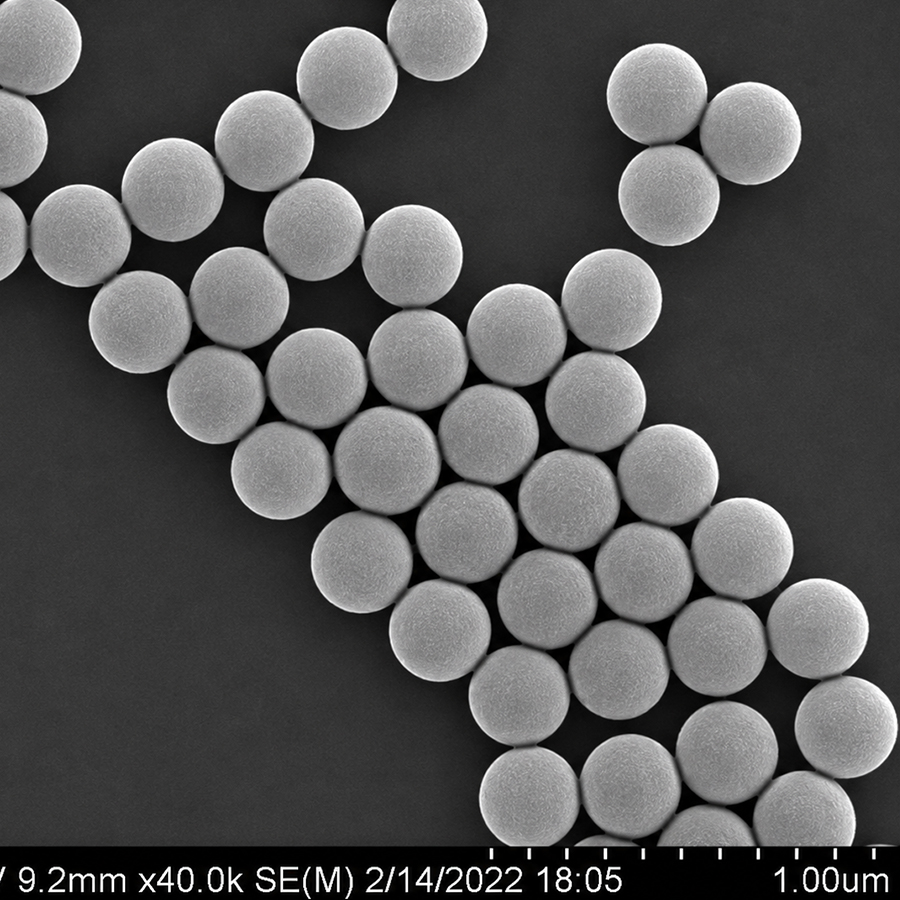 30um Standard Polystyrene Microspheres SPS30UM-10 5%