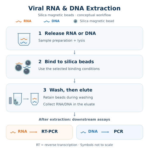 silica-magnetic-beads-viral-rna-dna-extraction.png