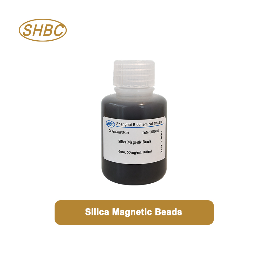 AMS5UM-10 5μm Silica Magnetic Beads for DNA RNA Extraction and Biomolecule Purification