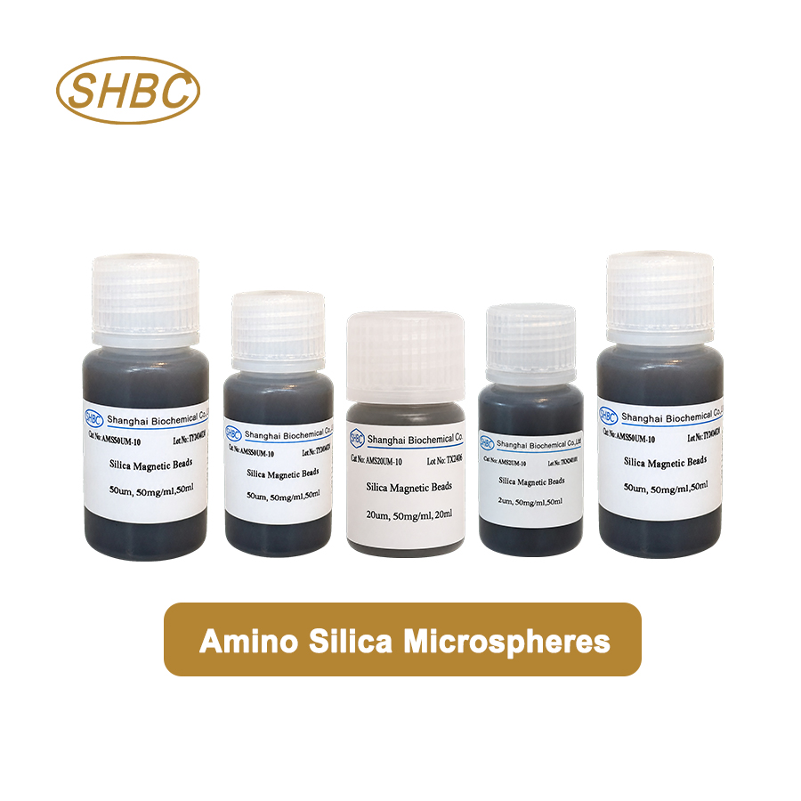 800um Amino&nbsp;Silica&nbsp;Microspheres ASi800UM-10 5%