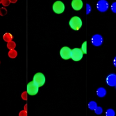 Colored-Microspheres