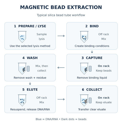 magnetic-bead-nucleic-acid-extraction-protocol.png