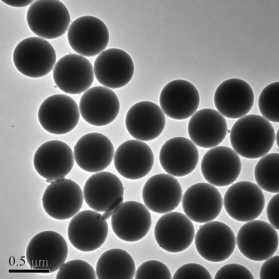 AMS300-10 300nm Magnetic Silica Nanoparticles 5% Suspension