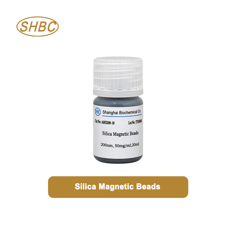 200nm Silica Magnetic Beads AMS200-10 5%