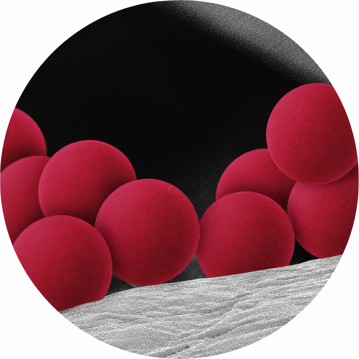 100nm Red Carboxyl Microspheres