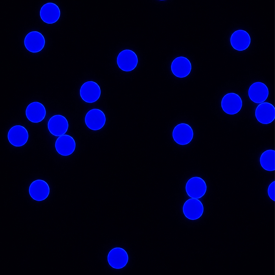 100nm Blue Carboxyl Microspheres CAB100-10 4%