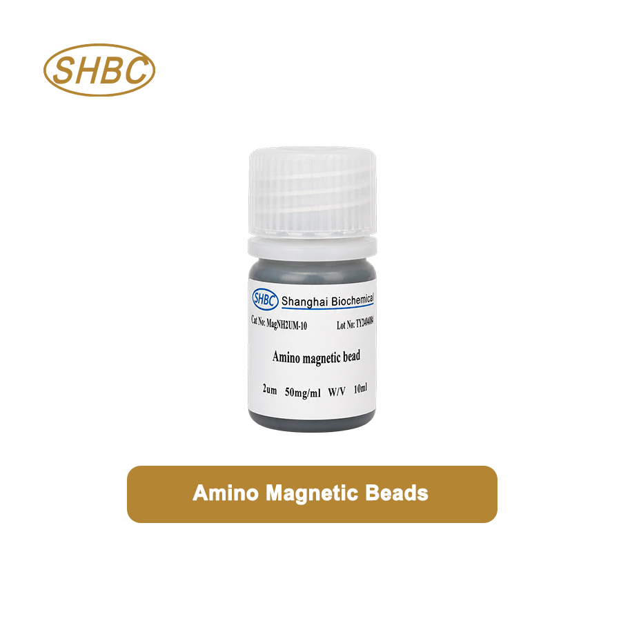 20&micro;m Amino Magnetic Beads MNH20UM-10 5%