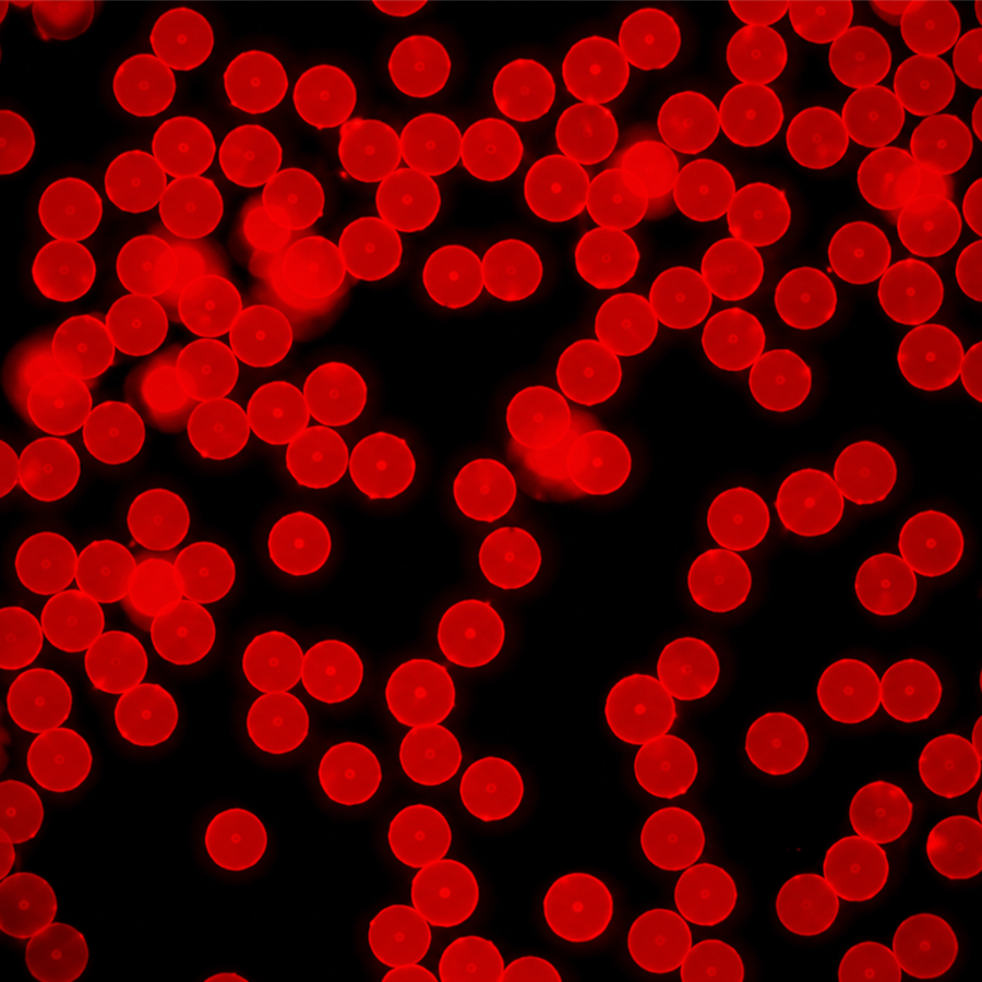 CFR060-10 60nm Carboxyl Red Fluorescent Microspheres 1% Suspension