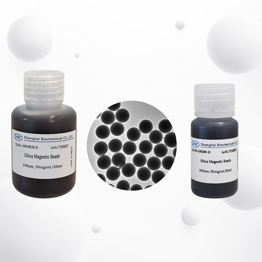 How Silica Magnetic Beads Work for DNA and RNA Extraction