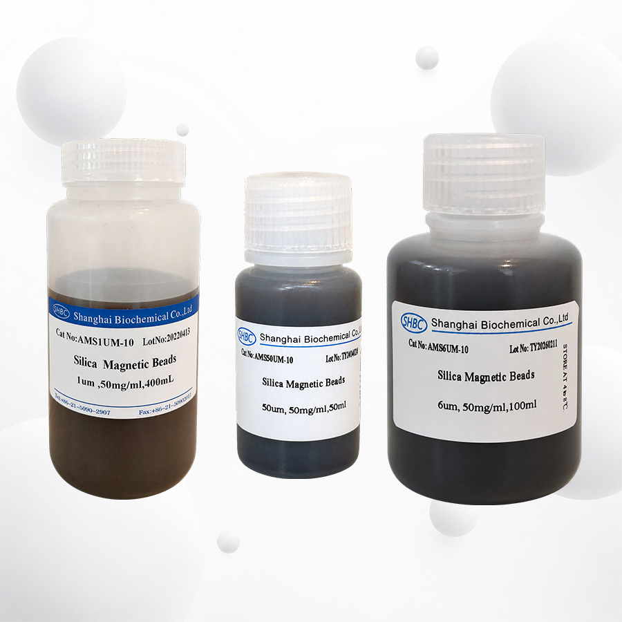 silica magnetic beads for nucleic acid purification.jpg